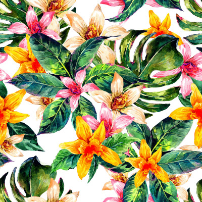 Hawaiian Rainforest Collection 4